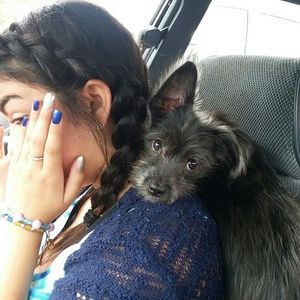 Meet your Posher, Simone